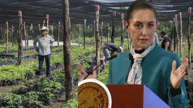 Gobierno de Claudia Sheinbaum confirma pago de $6,400 para estas personas en mayo 2025