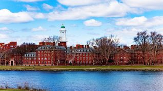 Harvard tiene un curso gratuito y en español ideal para quiénes quieren ser líderes: cómo Inscribirte