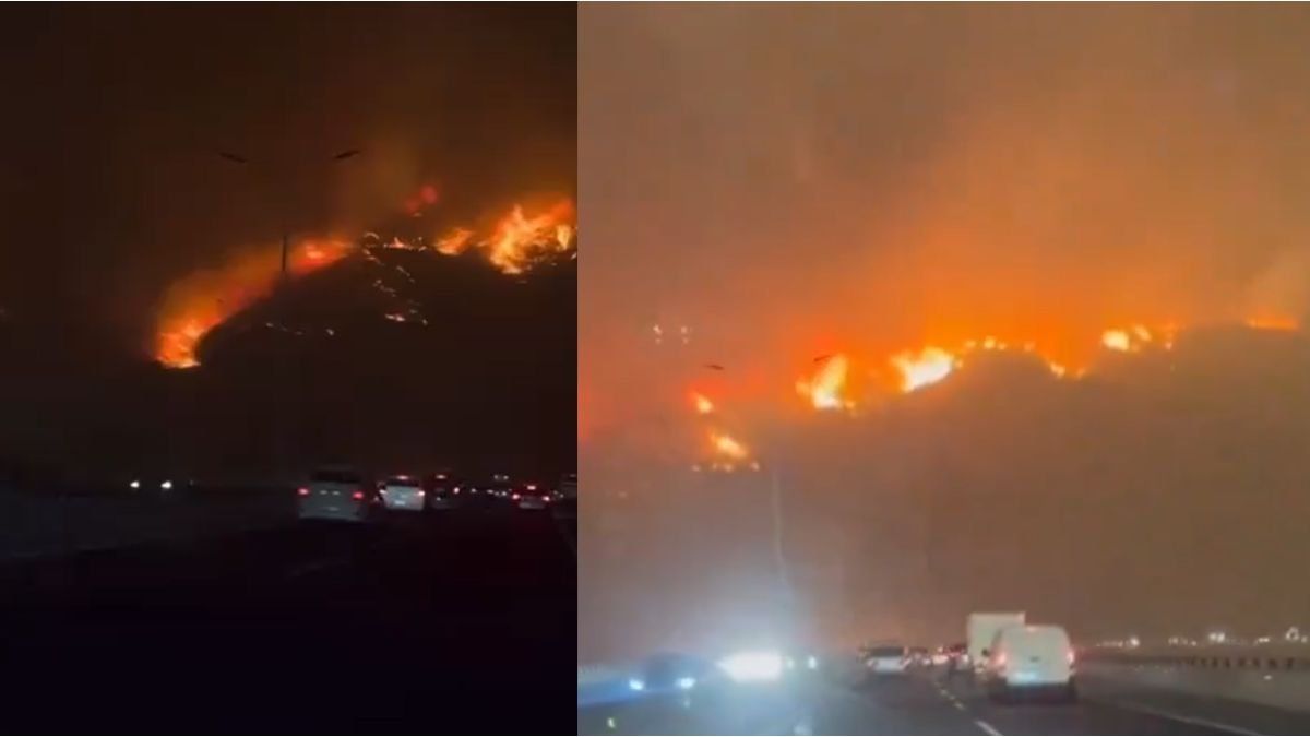 Dramatic forest fire in Chile leaves at least 19 dead and a state of emergency is declared
