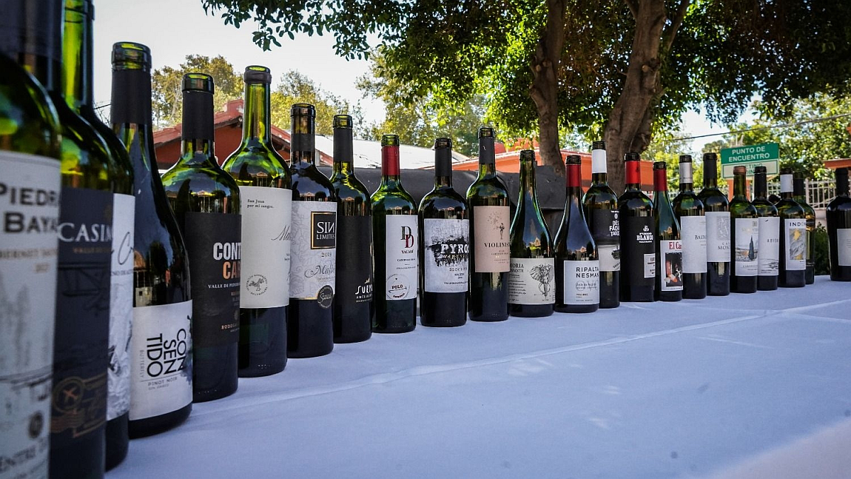 San Juan launched the “Taste” festival and a new edition of Evisan
