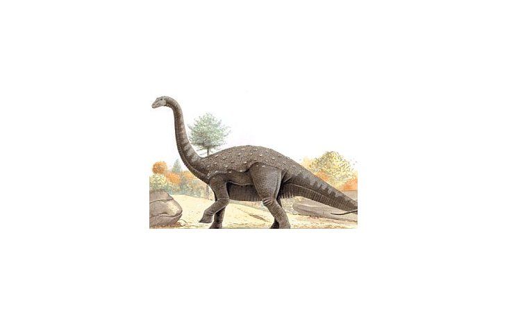 Novedoso: toman temperatura a restos de dinosaurios que vivieron en Argentina