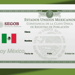 Noticia sobre la CURP. Noticia sobre la CURP.