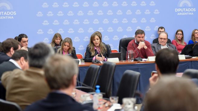 Flavia Royón en Diputados&nbsp;