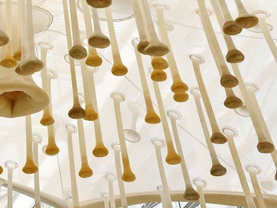 Escultura. La materialidad el&aacute;stica y trasl&uacute;cida de las medias de nylon femeninas contienen especias perfumadas en su interior.&nbsp;
