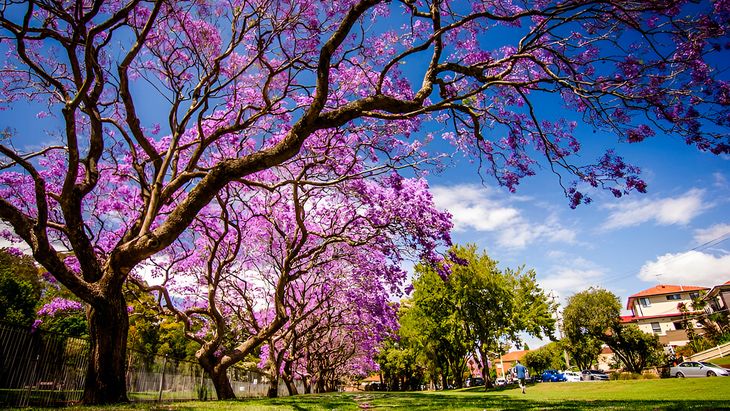 Next Tuesday, October 15, there will be a new holiday for some Buenos Aires residents who will enjoy a trip to rest Next Tuesday, October 15, there will be a new holiday for some Buenos Aires residents who will enjoy a trip to rest