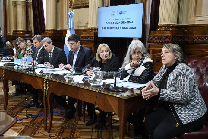 Representantes de las c&aacute;maras inmobiliarias participaron del debate en comisi&oacute;n del Senado.