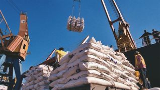 China y Estados Unidos concentraron casi la mitad de las exportaciones uruguayas en setiembre.
