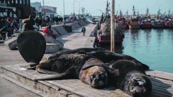 PANDEMIA. Las actividades al aire libre y los recorridos por la naturaleza fueron los más demandados.