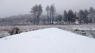 El frío avanza en México este lunes. El frío avanza en México este lunes.