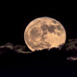 Esta noche se podrá disfrutar del fenómeno de la Superluna. Esta noche se podrá disfrutar del fenómeno de la Superluna.