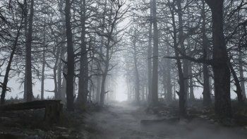 turismo oscuro: de que se trata esta actividad y cuales son los destinos mas elegidos