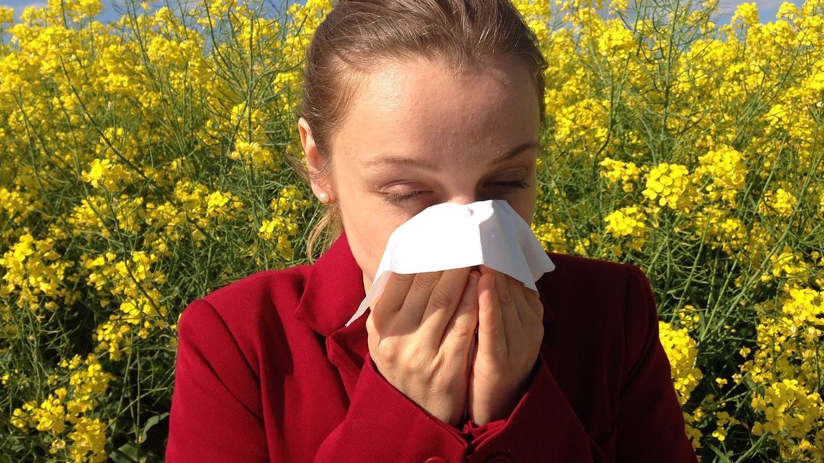 Allergies on the rise: How does rhinitis affect 20% of the Argentine population?