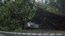 A car was crushed by a tree, after the fierce temporary that hit China