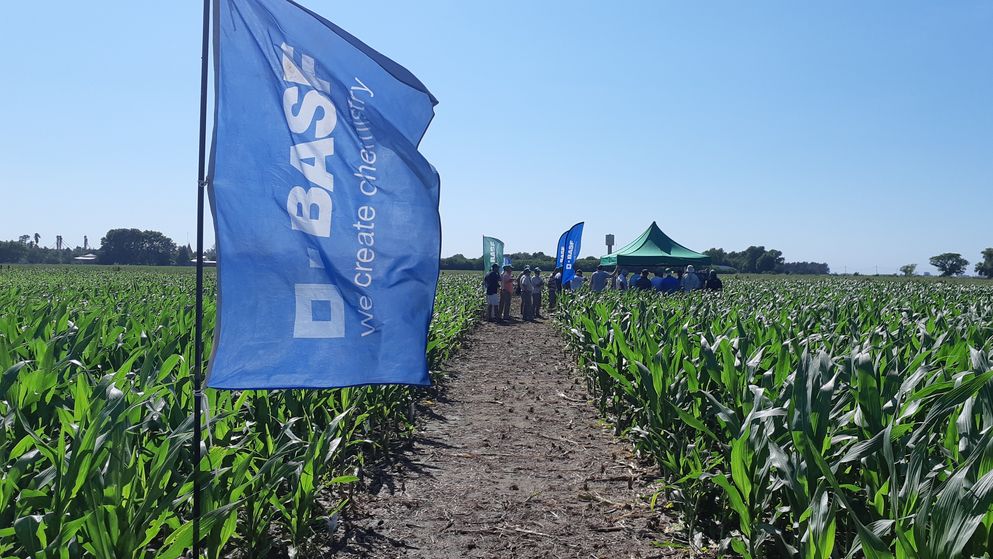 Basf es uno de los gigantes del sector químico y agrícola a nivel mundial.&nbsp;