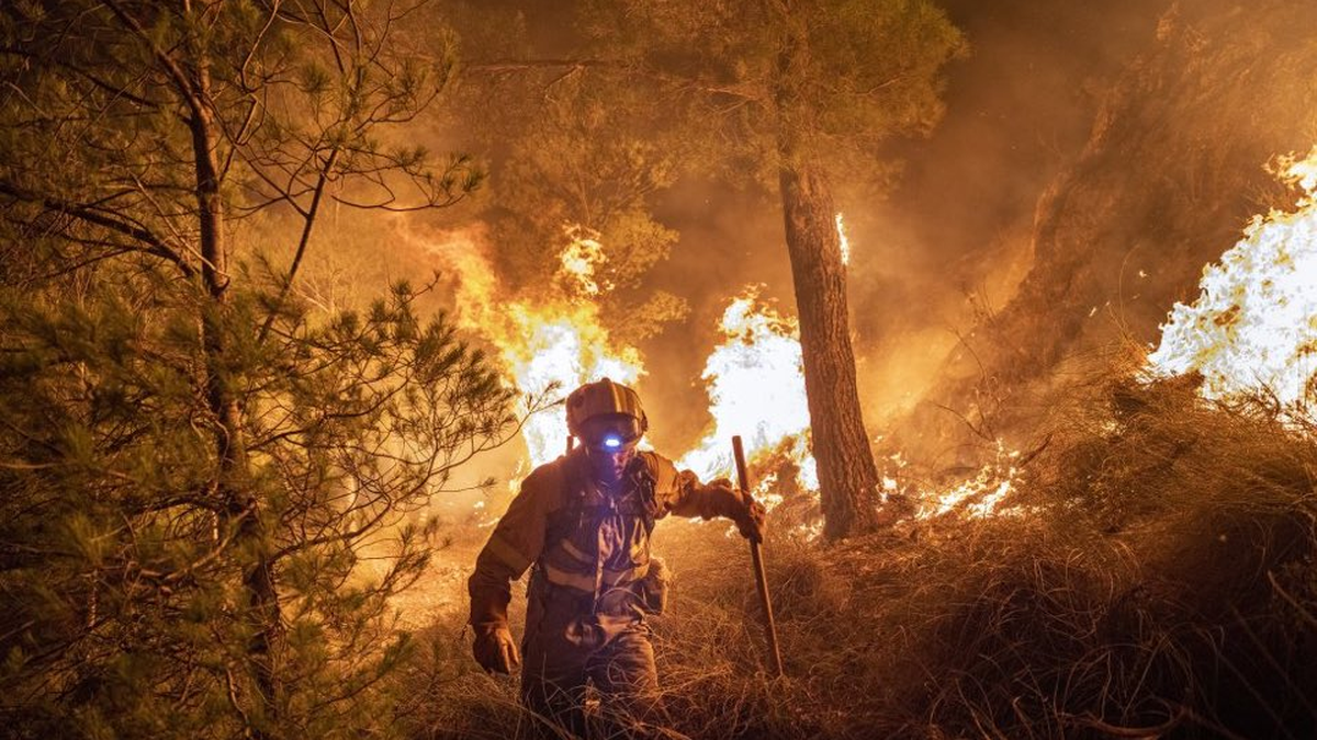 Spain reinforces with 500 soldiers the fight against fires while the heat wave hits the country