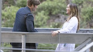 Vuelve Greys Anatomy: todo lo que tenés que saber sobre la temporada 19
