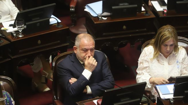 El presidente del bloque del PRO en el Senado, Luis Juez.&nbsp;