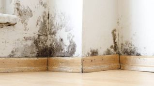 El truco con vinagre y bicarbonato que elimina las manchas de humedad sin gastar en productos químicos El truco con vinagre y bicarbonato que elimina las manchas de humedad sin gastar en productos químicos