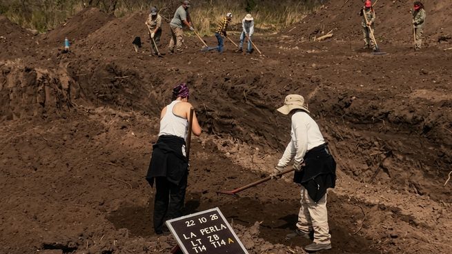 El Equipo Argentino de Antropología Forense identificó restos de otras 11 personas desaparecidas.