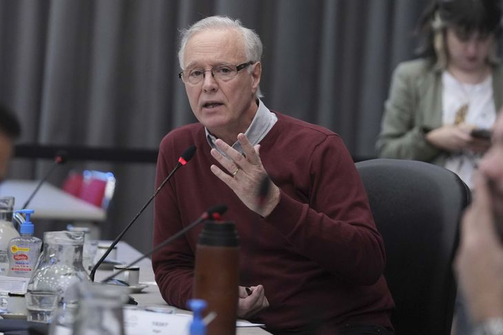 Daniel Gollán, durante su intervención en la comisión. Daniel Gollán, durante su intervención en la comisión.