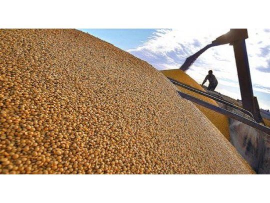 Oficial: eliminan la cláusula Monsanto para fiscalización de las semillas