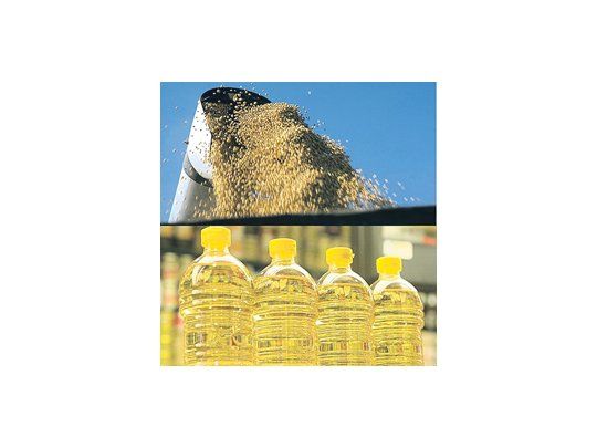 China ya compró 70.000 toneladas de aceite de soja argentino desde que levantó la veda por un conflicto comercial con el país. Esperan comprar 80.000 toneladas para noviembre.