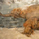 Los restos de Yuka permanecieron preservados durante milenios en el hielo siberiano. Los restos de Yuka permanecieron preservados durante milenios en el hielo siberiano.