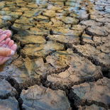 La preocupación por el déficit hídrico crece, pero el Instituto Uruguayo de Meteorología descarta una sequía como la de 2023. La preocupación por el déficit hídrico crece, pero el Instituto Uruguayo de Meteorología descarta una sequía como la de 2023.