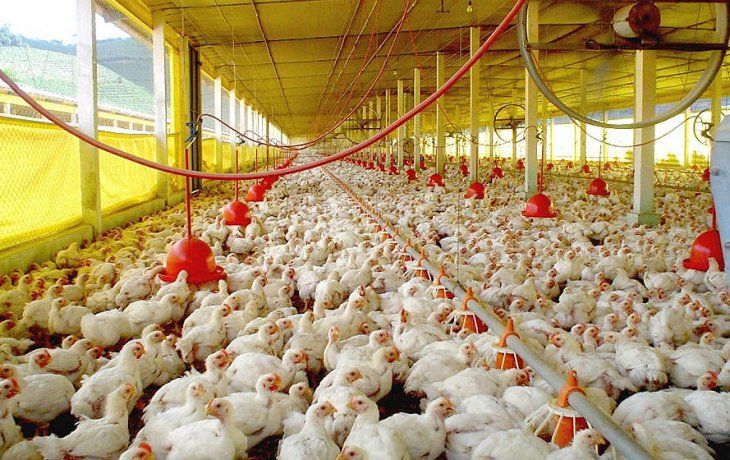 Más problemas para los productores Más problemas para los productores