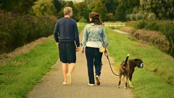 Los beneficios de tener un perro también inciden en la salud