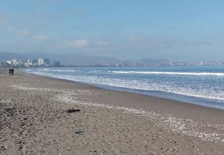 El incidente ocurrió cuando Cabrera Iturriaga ingresó al mar junto a cuatro familiares en un sector no habilitado para el baño.