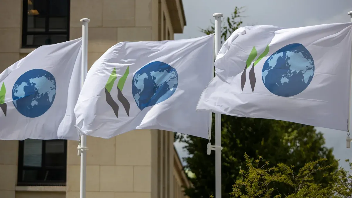 Business integrity: an opportunity for development and entering the OECD