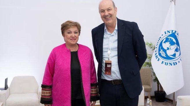 Federico Sturzenegger formará parte de un consejo del FMI.