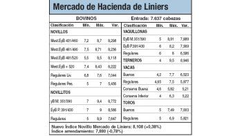 Suben precios por la fuerte demanda