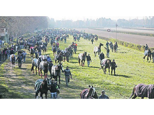 Reacción. Días atrás, la industria del turf mostró su rechazo a la iniciativa del oficialismo con una protesta en el Hipódromo de San Isidro.