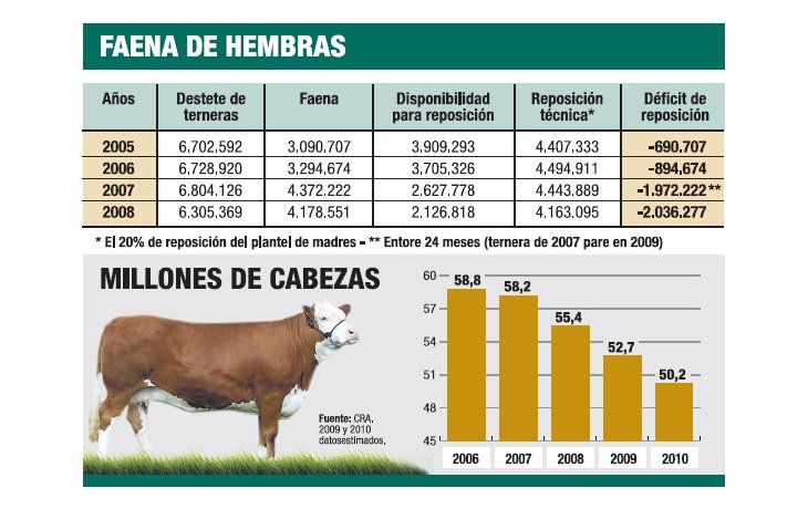 Ganaderos piden que Gobierno subsidie a los criadores