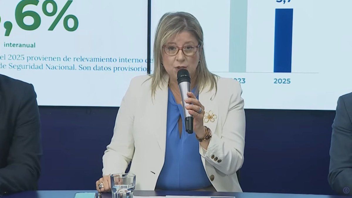 Conferencia de prensa del Ministerio de Seguridad sobre estadísticas de delitos