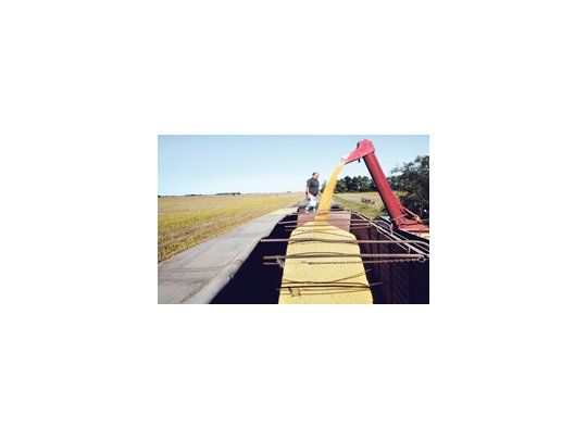 La BCR informó que la producción de soja será de 48,3 millones de toneladas, por encima de los 48 millones estimados previamente, debido a rendimientos del grano levemente mejores que los previstos.