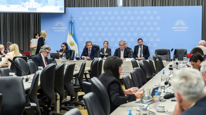 Juan Pazo, titular del ARCA, asistió a la Cámara de Diputados.