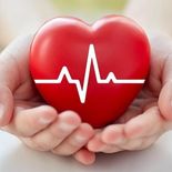 Los habitos que pueden perjudicar tu salud cardiovascular y no te das cuenta. Los habitos que pueden perjudicar tu salud cardiovascular y no te das cuenta.