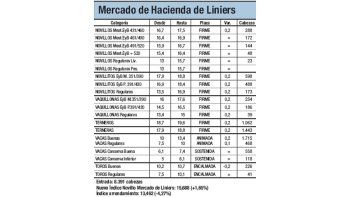 Sin ingresos en Liniers por feriado