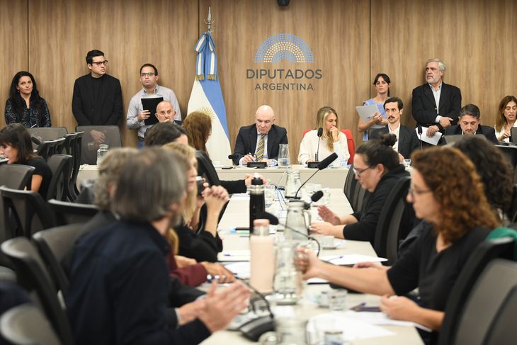 En el plenario de comisiones se pusieron en común 12 proyectos.