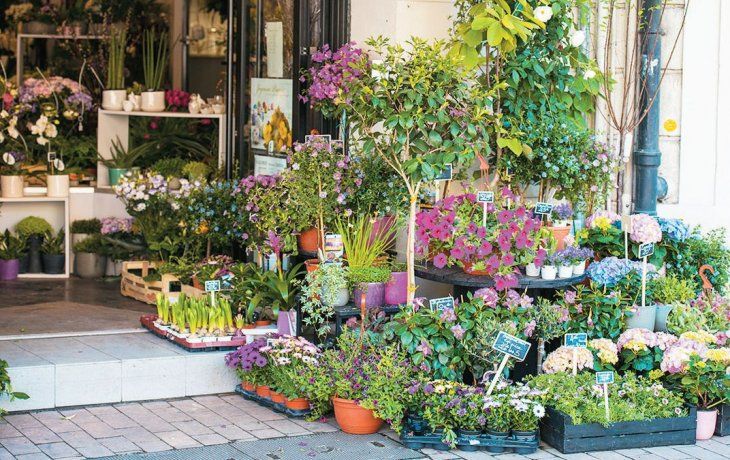 ámbito.com | FLORERIA.jpg