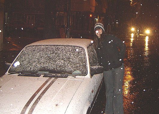 Caballito pudo disfrutar de la nieve.