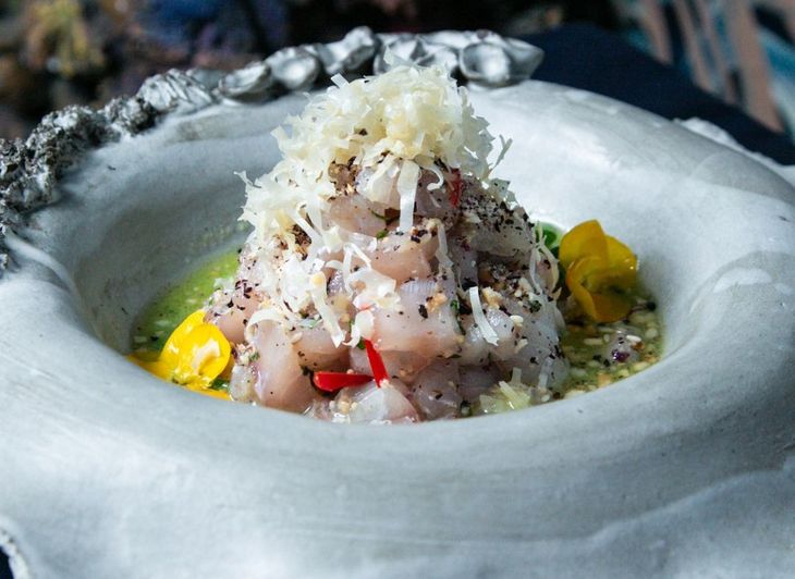 Wasabi ceviche in seven seas. Wasabi ceviche in seven seas.
