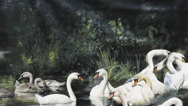 cisnes. Parte del tríptico de la cordobesa Samanta Rched Abugauch.