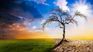 In the US there are doubts about the environmental policies committed before Trump came to power. In the US there are doubts about the environmental policies committed before Trump came to power.
