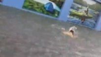 Un hombre salió nadando de su casa en Lanús