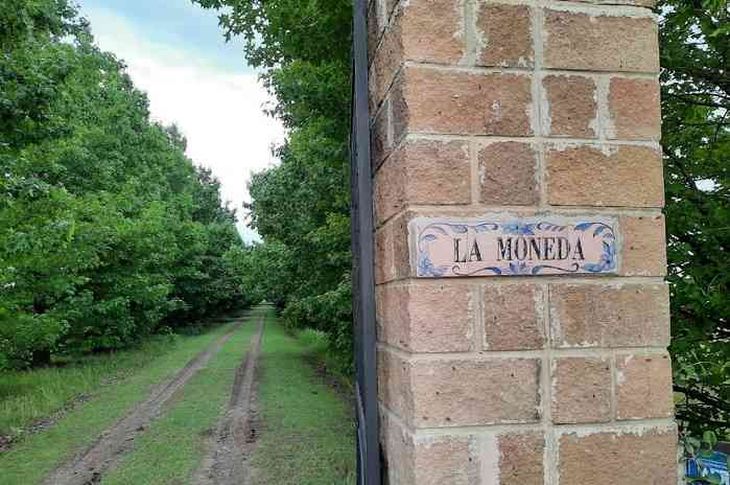 El lugar del asesinato del empresario en Luján. El lugar del asesinato del empresario en Luján.