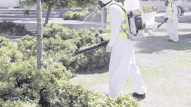 La vacuna contra el Dengue ofrece una esperanza para el futuro.